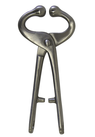 Large Animal Equipment