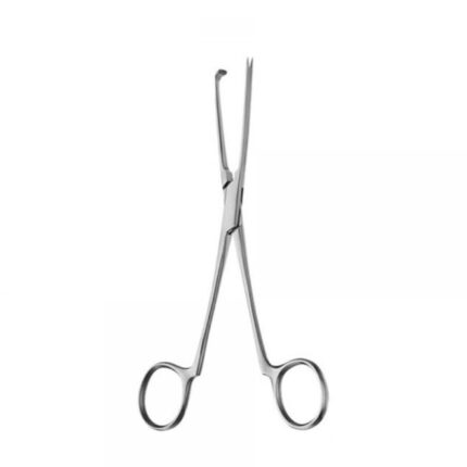 Pitangay Focep 15cm Straight