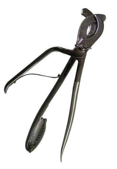 Castration Spaying