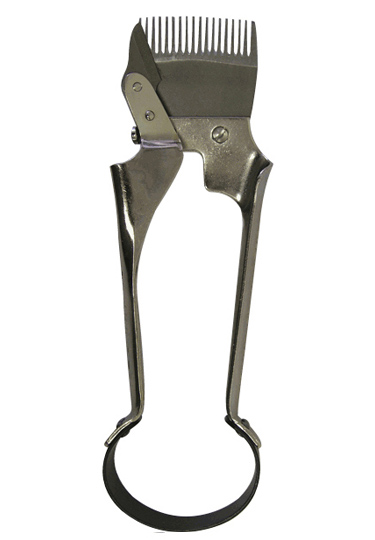 Large Animal Equipment