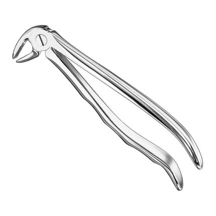 Extracting forceps, anat.