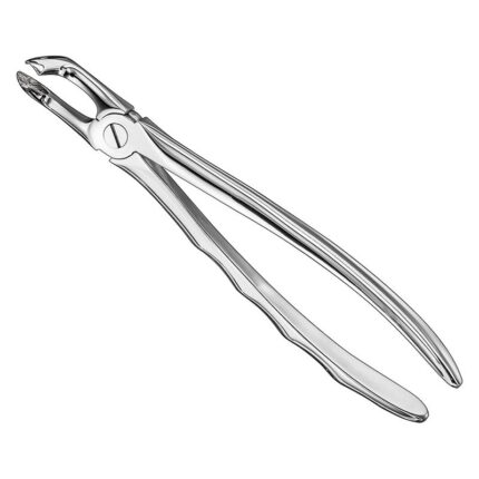 Extracting forceps, anat.