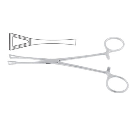 Pennington Organ Grasping Forcep